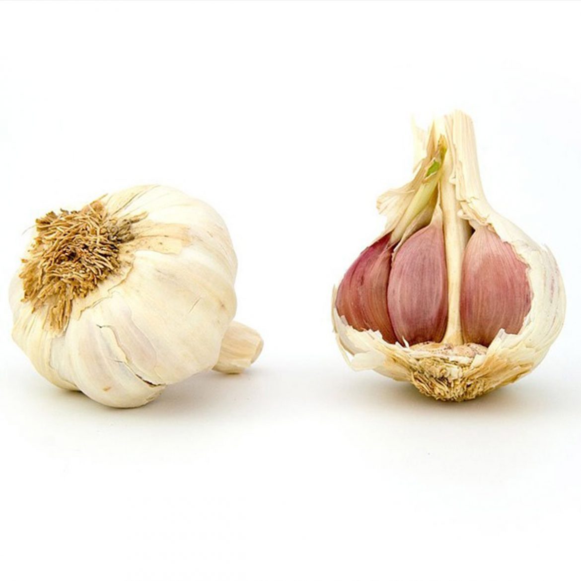 Knoblauch(c)zurgams